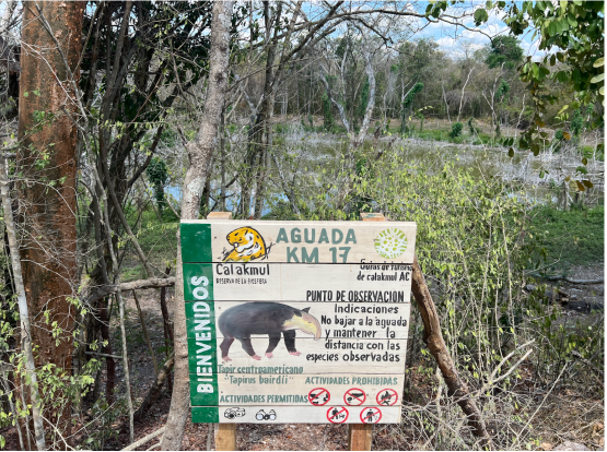 biodiversity