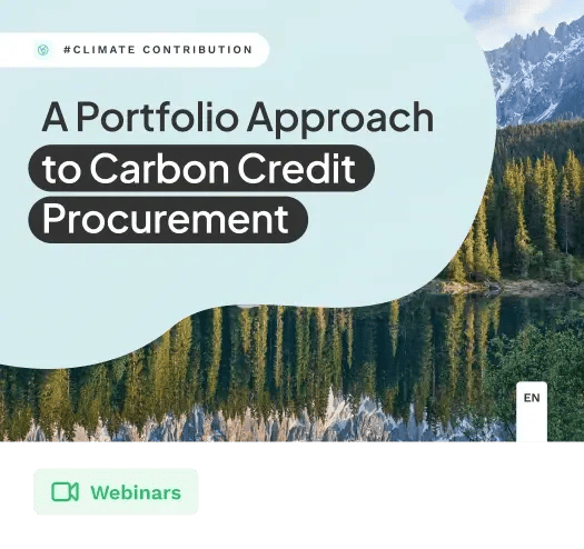 A Portfolio Approach to Carbon Credit Procurement
