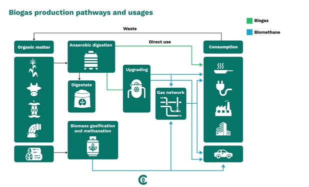 Biogas production pathways and usages