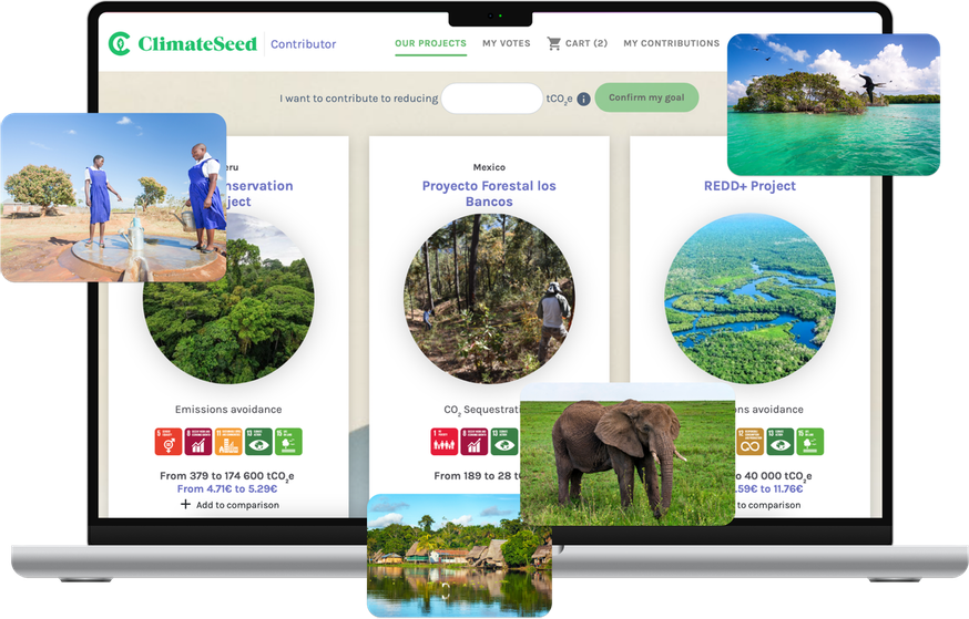 Carbon offset
