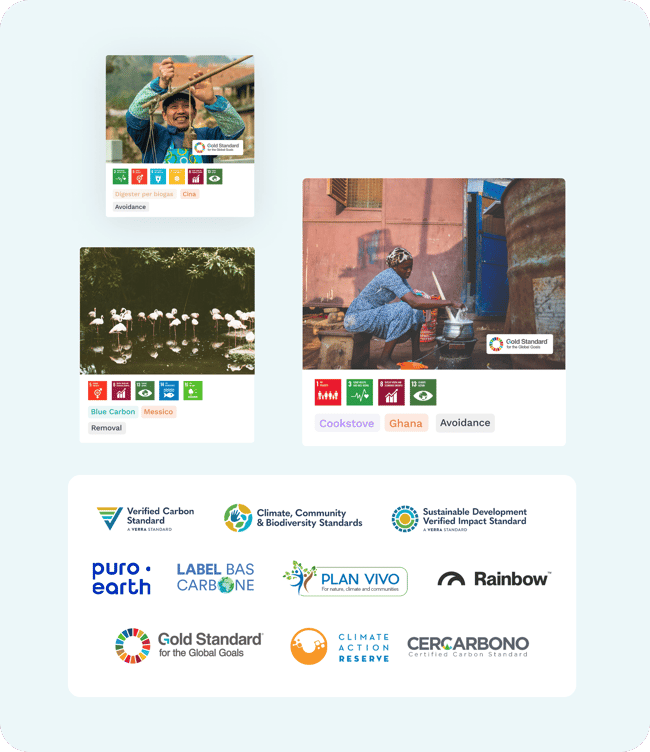 Card Carbon Project IT