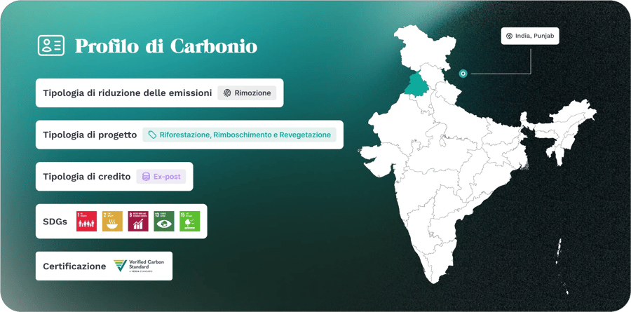Cards Carbon Profil Punjab Dark IT V2