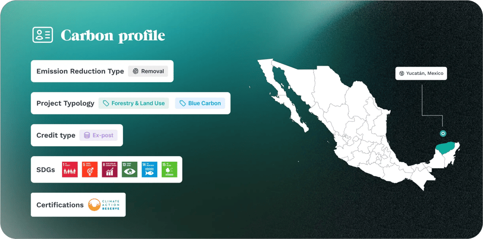 Cards Carbon Profil San crisanto Dark EN v2