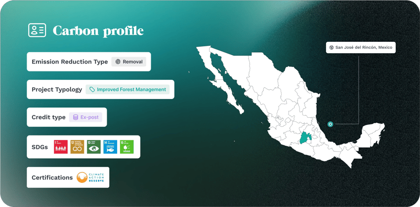 Cards Carbon Profil San josé Dark EN V2