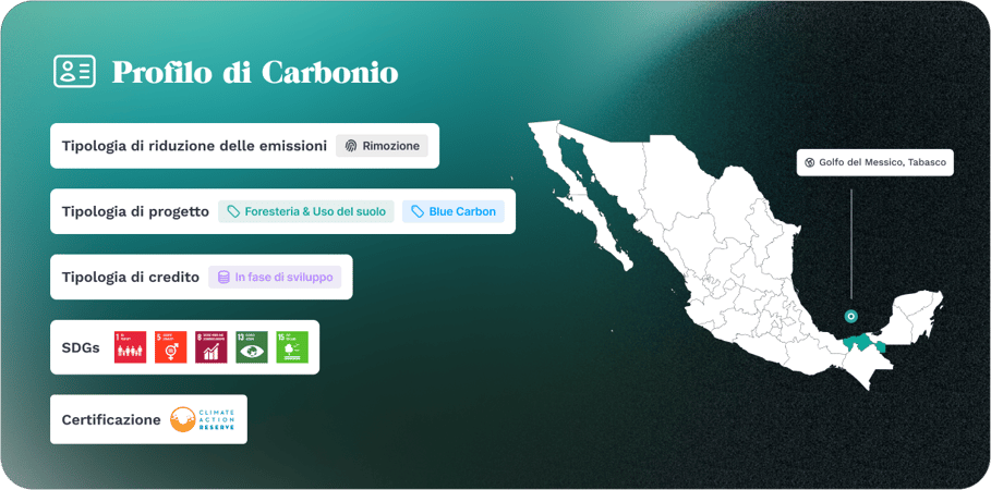 Cards Carbon Profil Tabasco Dark IT