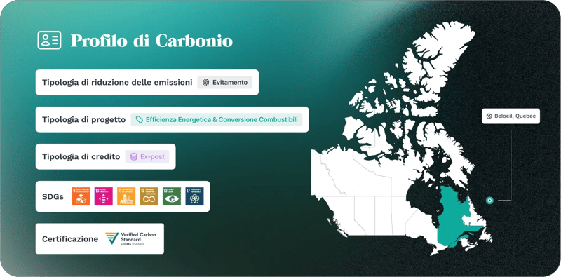 Cards Carbon Profil Will solution Dark IT V2