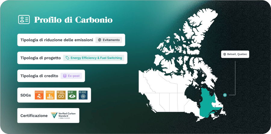 Cards Carbon Profil Will solution Dark IT