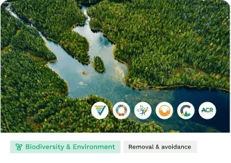 Cards_Forestry and Land Use EN