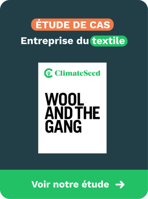 Case study Wool and the Gang EN