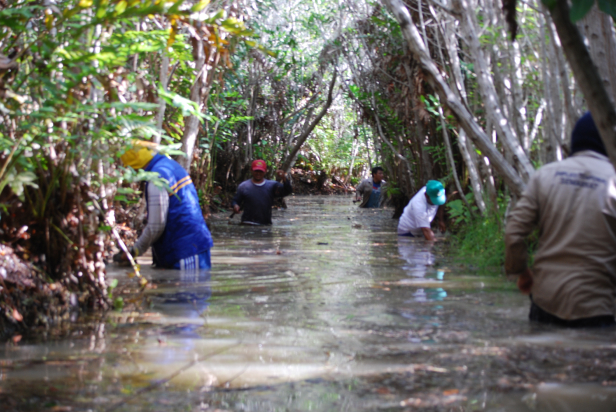 ©Fundación San Crisanto