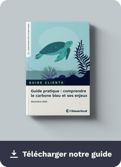 Download Guide Carbone bleu - FR-2