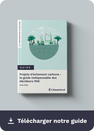 Download Guide Carbon Avoidance FR