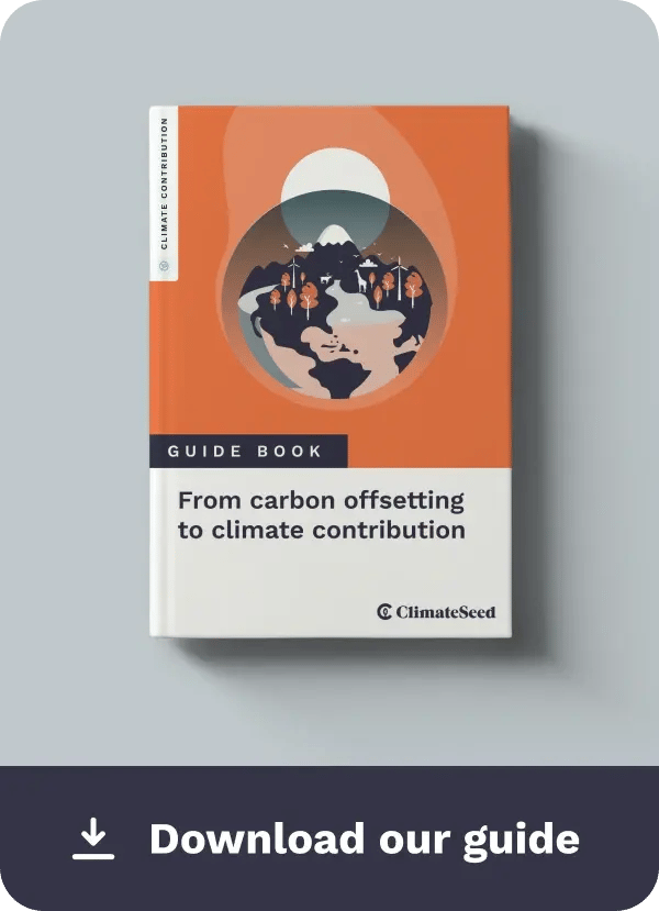Download Guide Carbon Offsetting EN