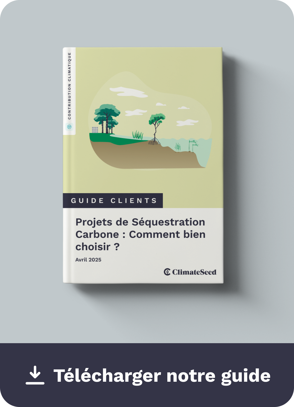 Téléchargez le Guide Carbon Removal  EN