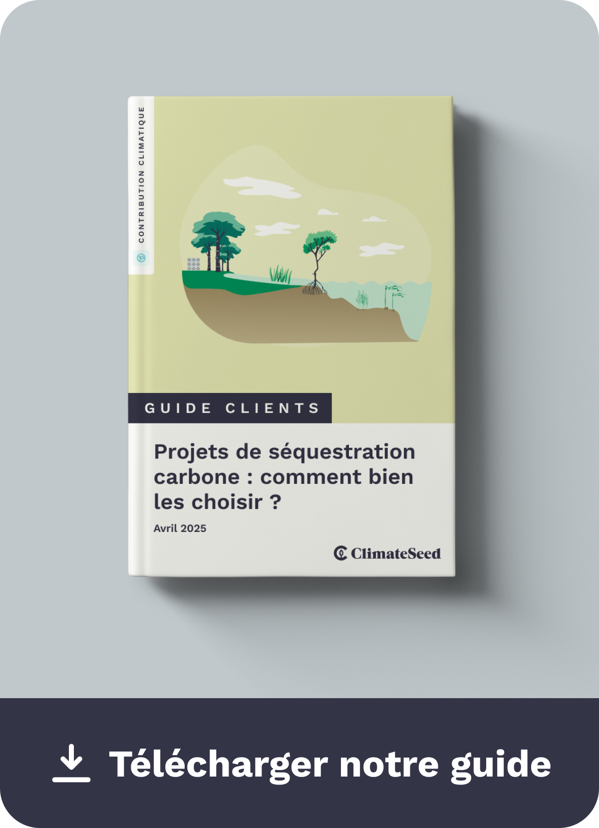 Download Guide Carbon Removal  FR