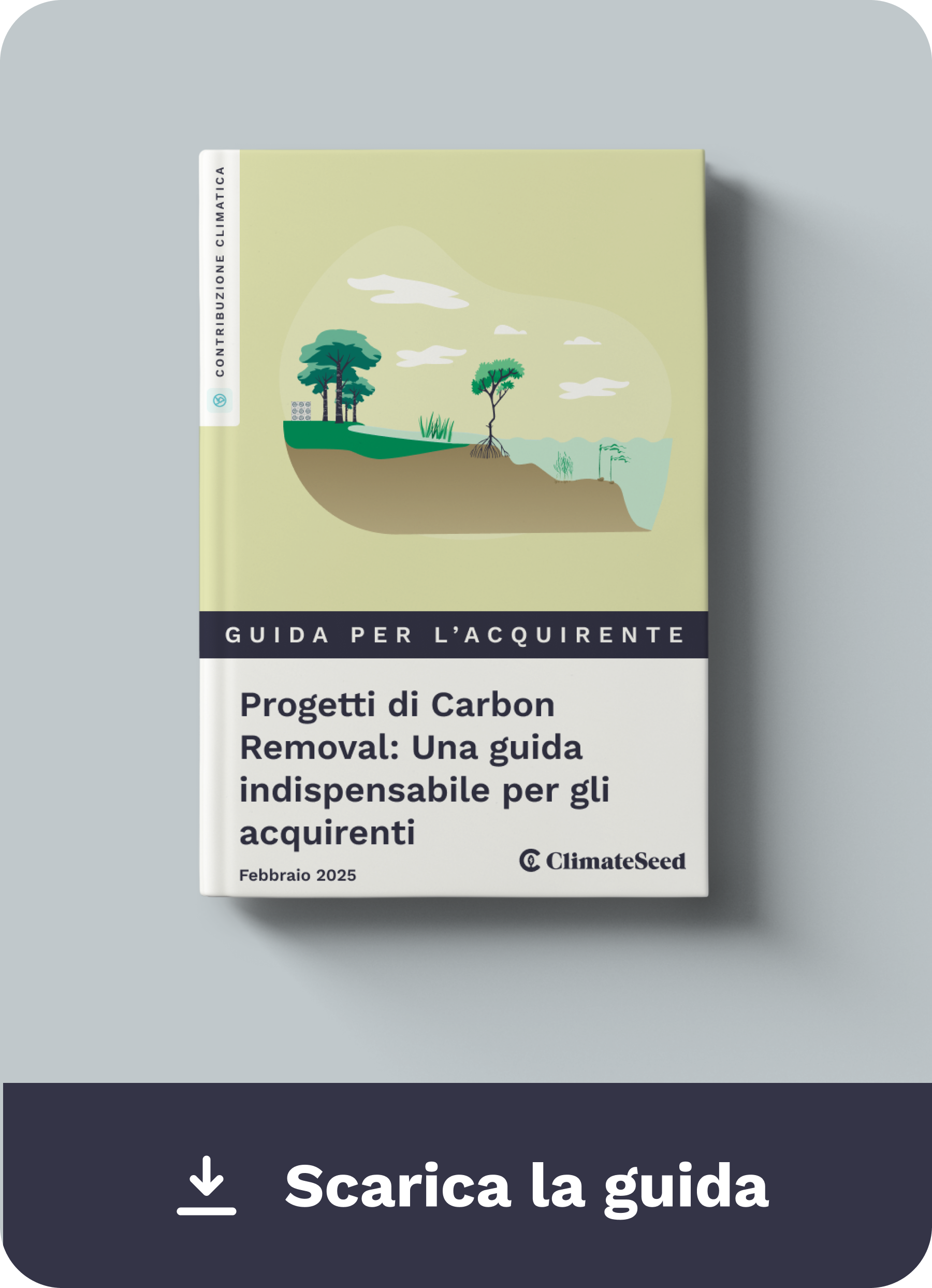 Download Guide Carbon Removal  IT