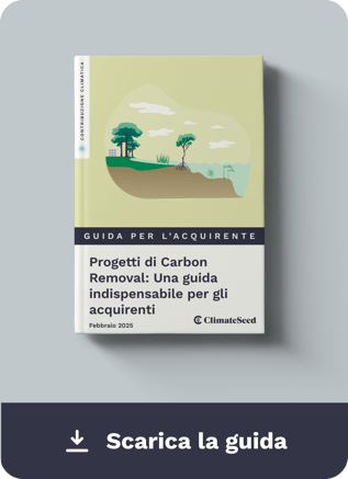 Download Guide Carbon Removal  IT