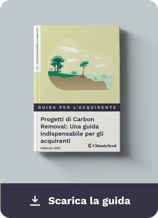 Download Guide Carbon Removal  IT