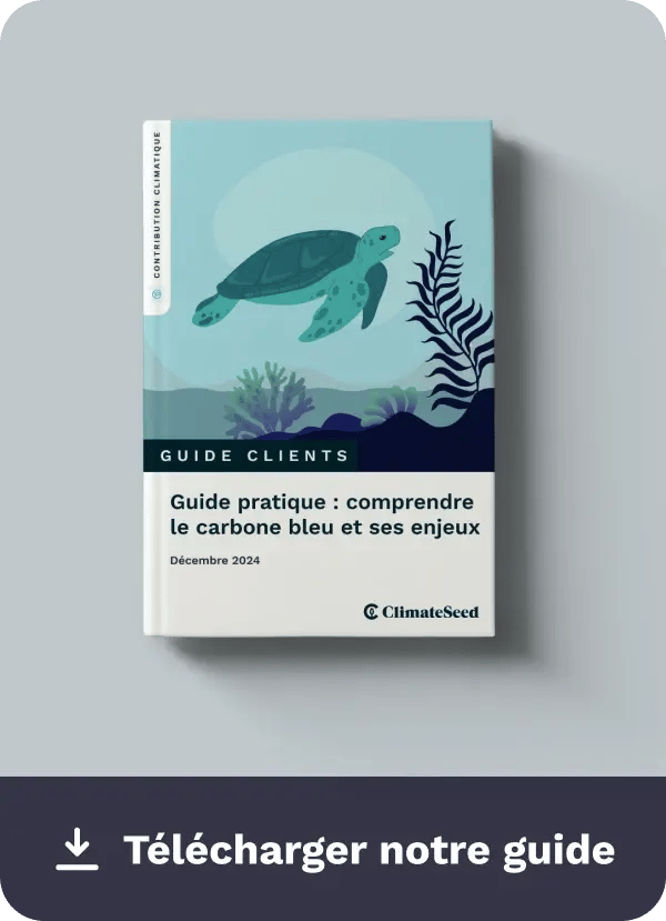 Download Guide Carbone bleu - FR