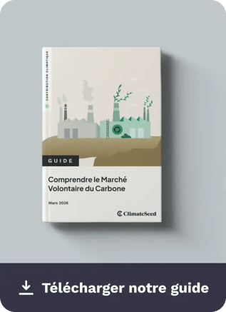 Download Guide Marché Volontaire du Carbone FR