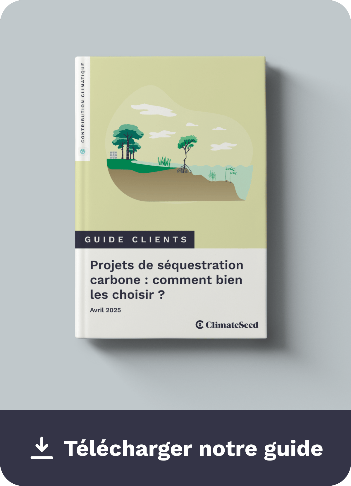 Download-Guide-Carbon-Removal-FR