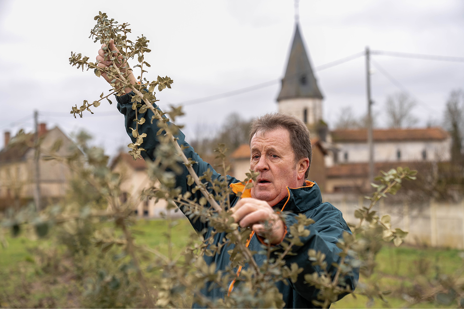 Francis pestre (agri du programme) 1