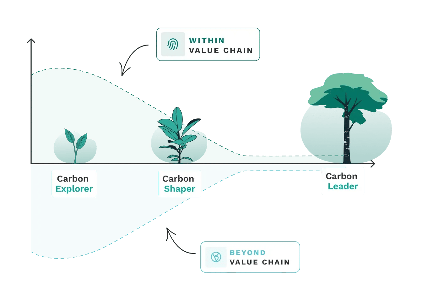 Graph carbon profil V6