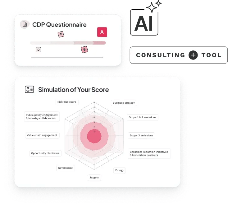 Graph_Banner_CDP EN V3