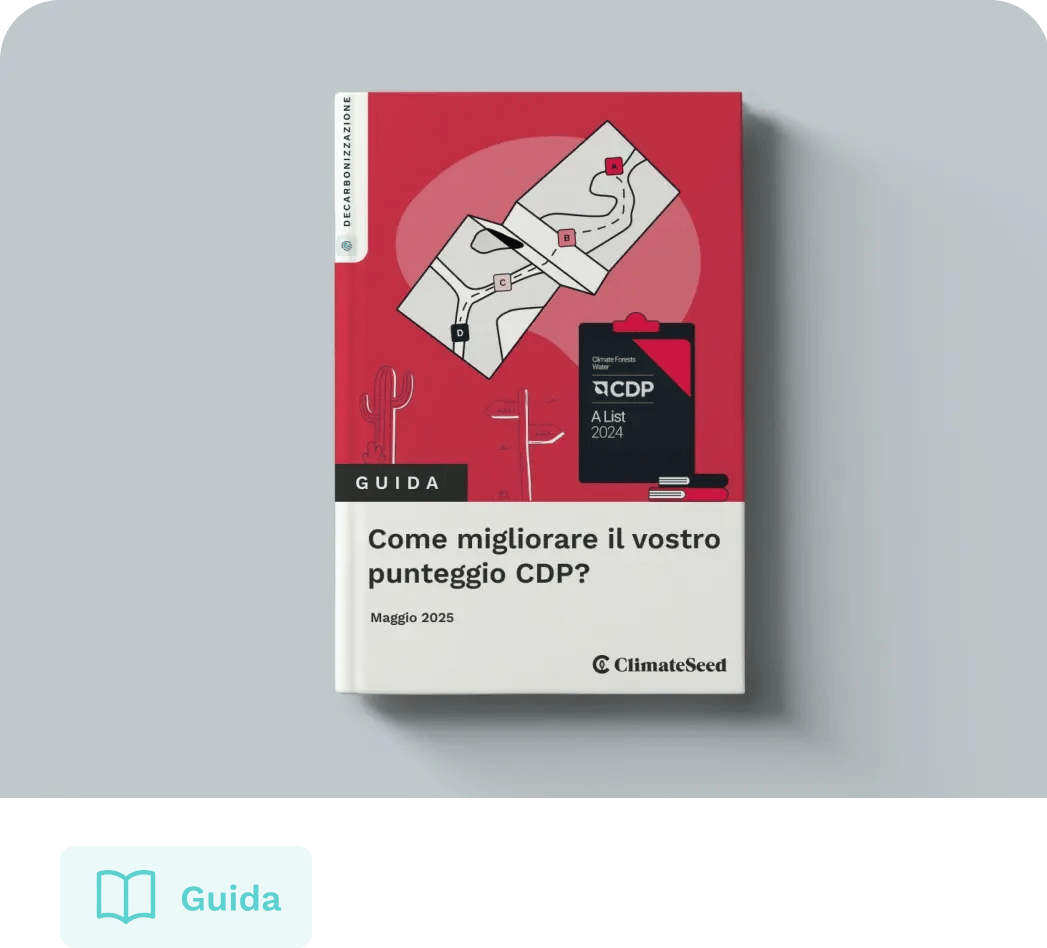 Guide CDP IT