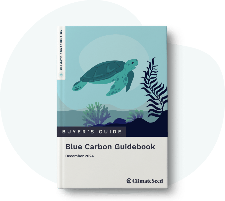 Blue Carbon