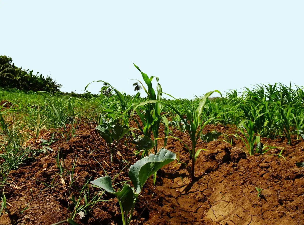 Miniature Agriculture V1