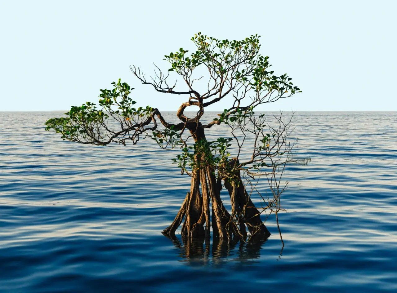 Miniature Blue Carbone V1