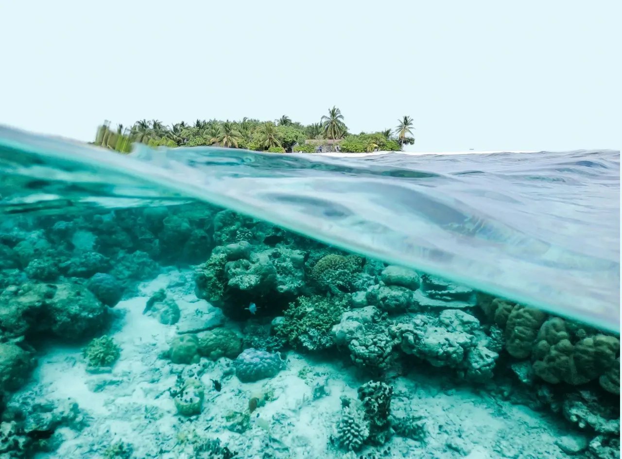 Miniature Blue carbone V2