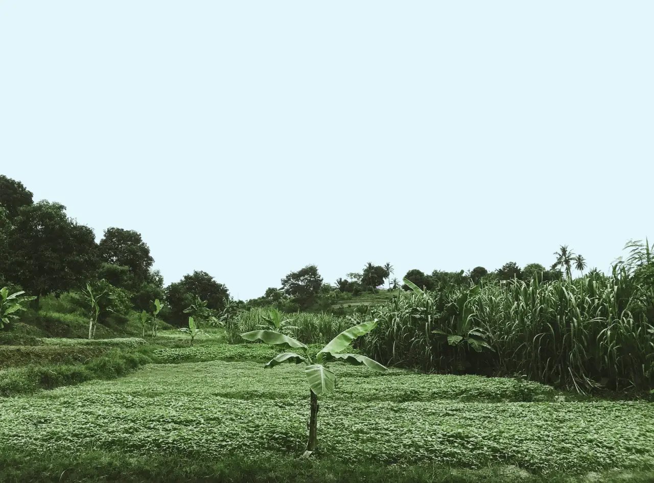 Miniature Carbone Credit V1