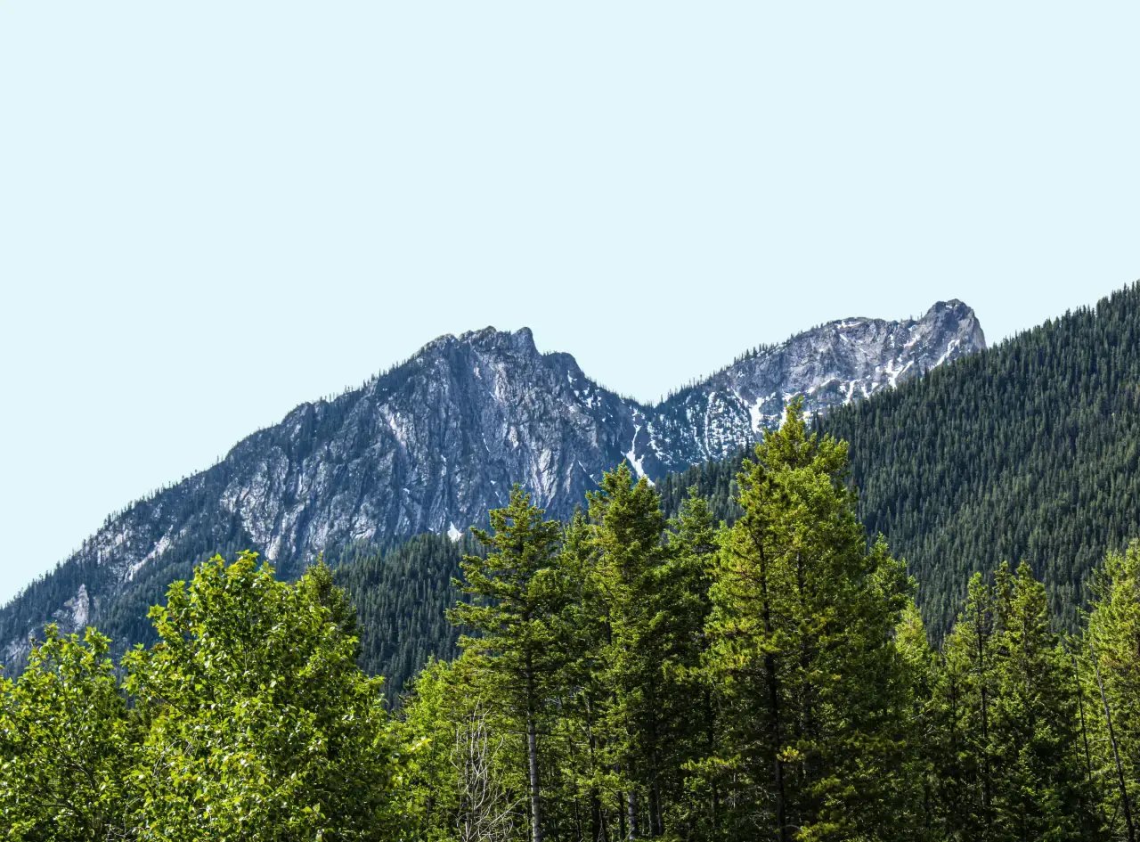 Miniature Carbone Credit V2