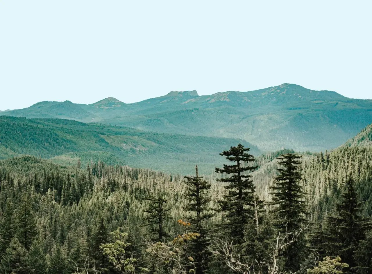 Miniature Carbone Credit V3