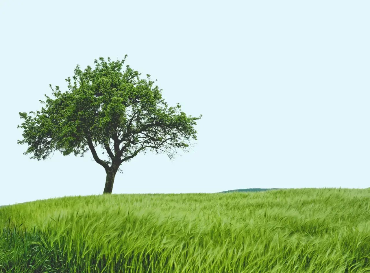 Miniature_Biodiversite V1