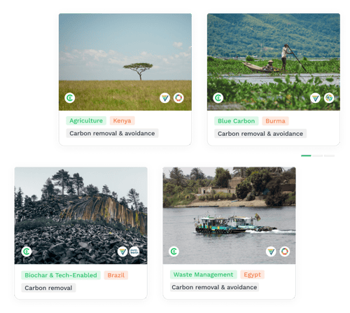 Carbon removal and avoidance projects EN