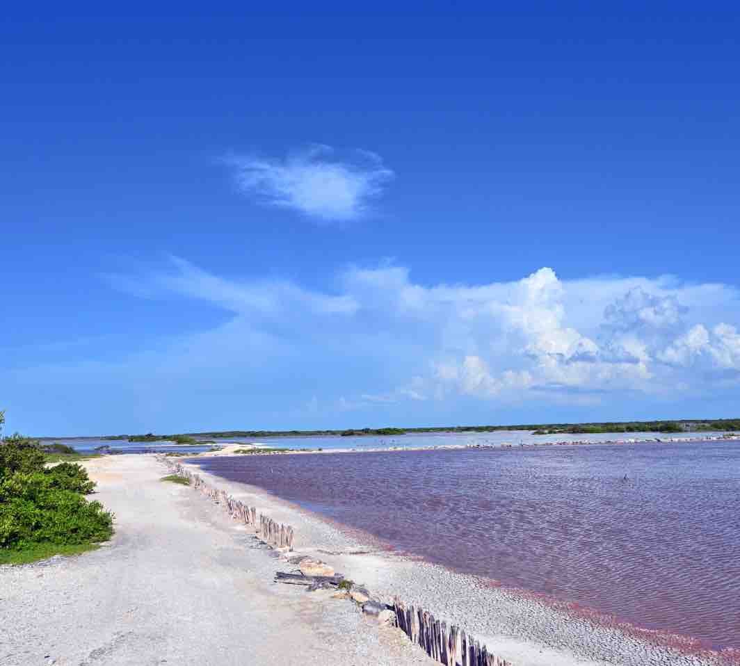 Salt Lake The Yucatan Peninsula