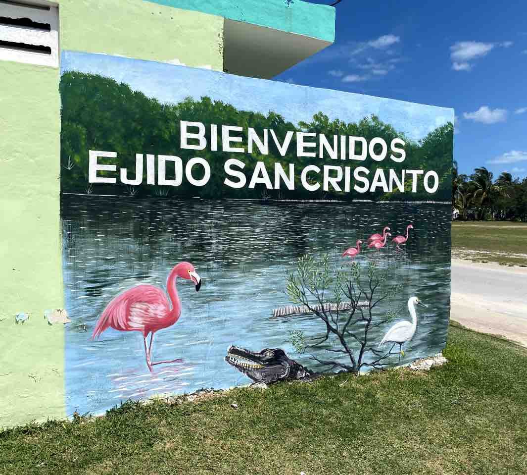 San Crisanto Project