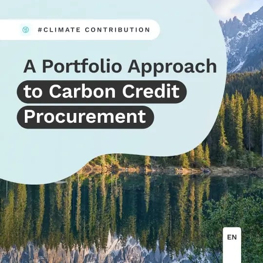 Portfolio Approach
