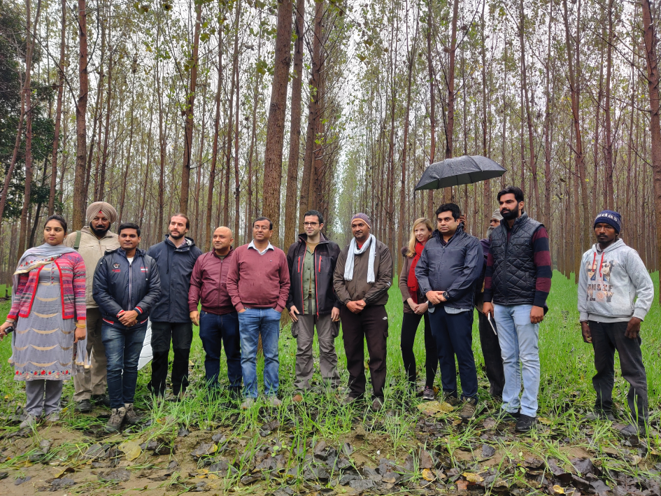 Punjab Agroforestry Project (13) 1