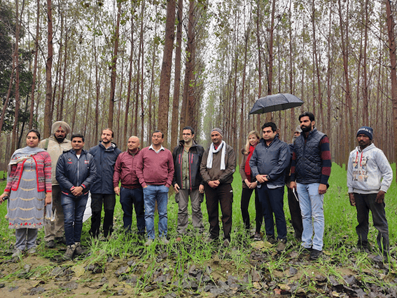 Punjab-Agroforestry-Project-_13_-1-1