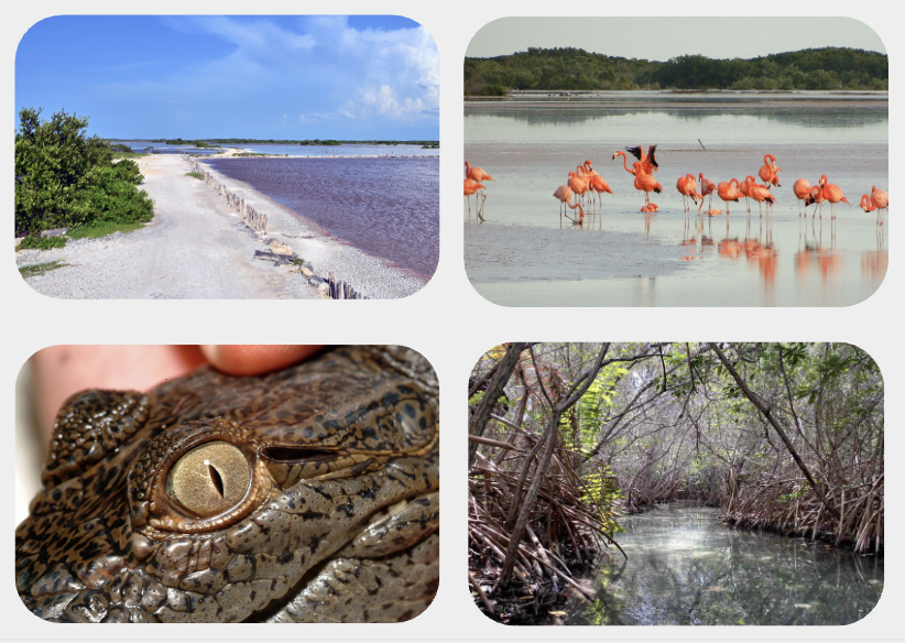 San crisanto project