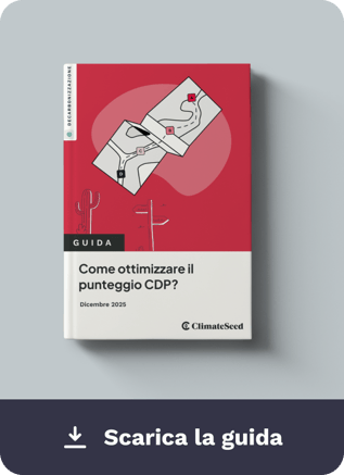 Scarica-la-guida-CDP-IT-_6_