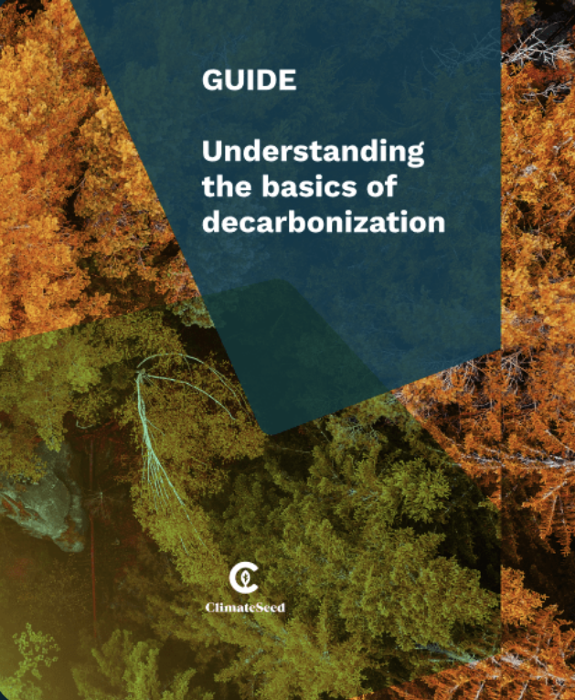 decarbonization guide