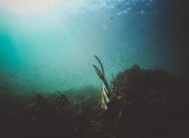 Screenshot 2025-12-03 at 15.36.51