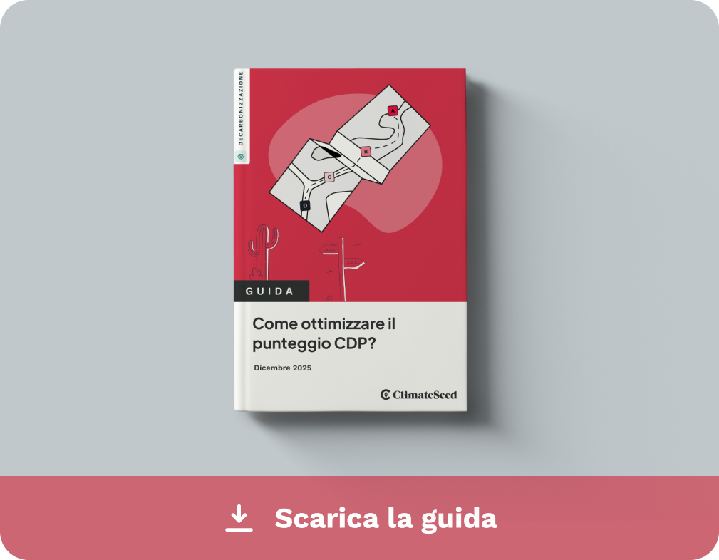 Visuel Guide CDP IT