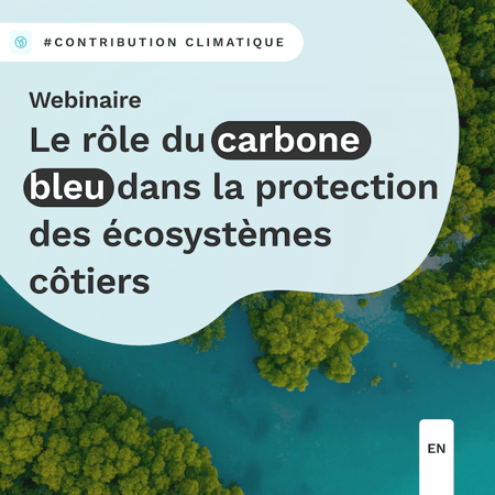Visuel Webinar contrib blue carbon - fr