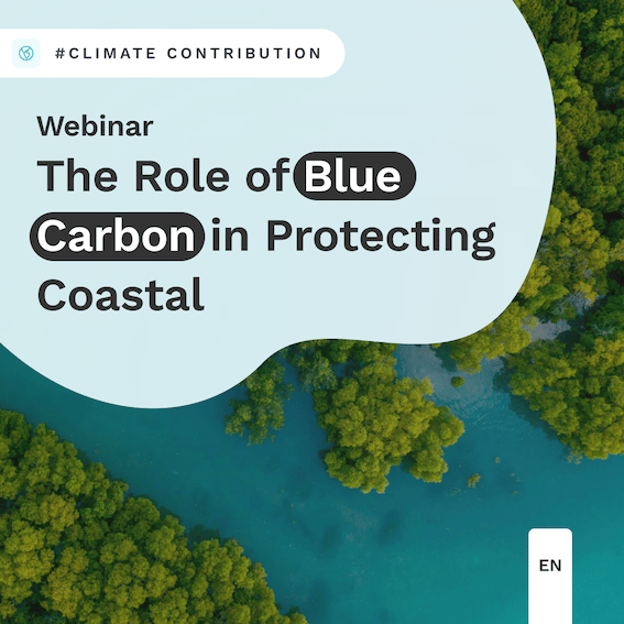 Visuel-Webinar-contrib-blue-carbon